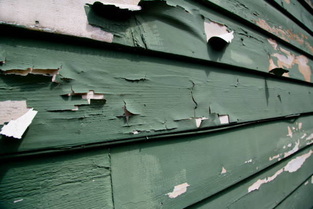 Same-Day Junk Removal Services in Burton, SC