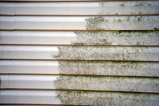 Best Property Management Cleanouts  in Burton, SC