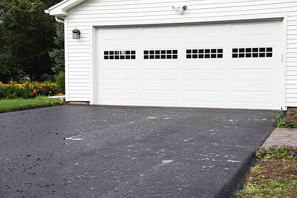 Best Shed Removal  in Burton, SC